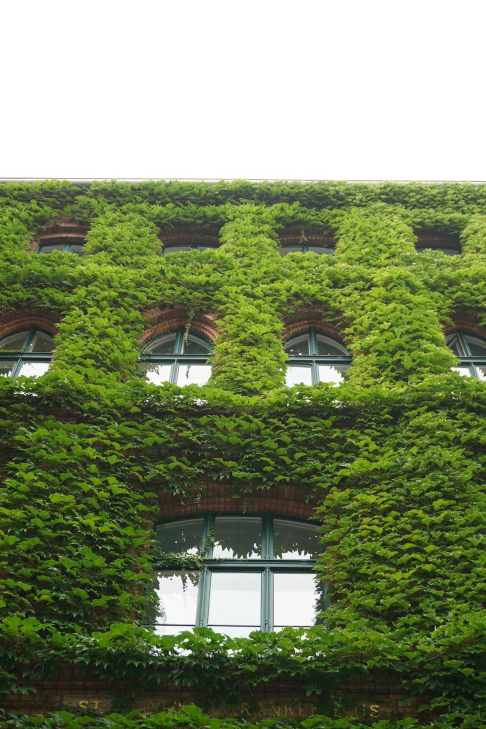 Sustainable Project Case Study